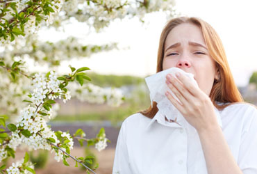 Allergies: Stop the sneeze and ditch the itch